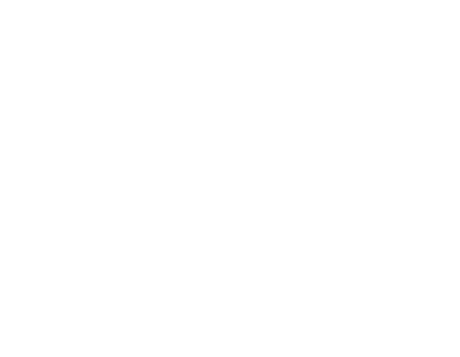 Taurus Business